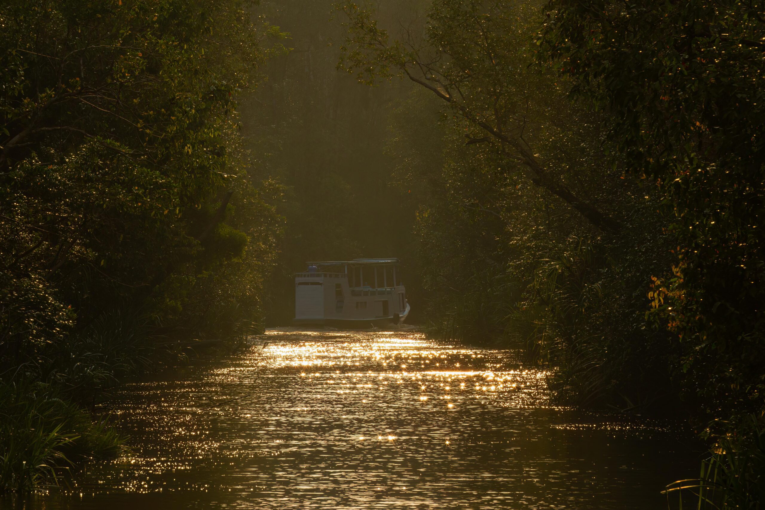 klotok boat river rainforest South Kalimantan Indonesia