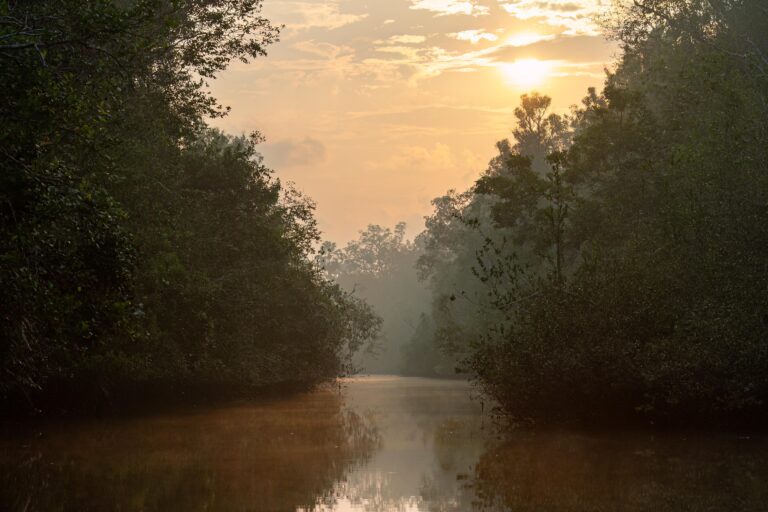 Way Kambas National Park in South Sumatra
