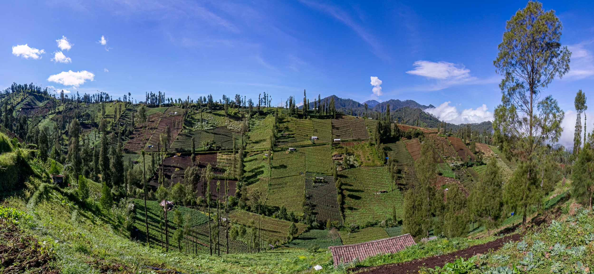 Bromo, Indonesia, Java