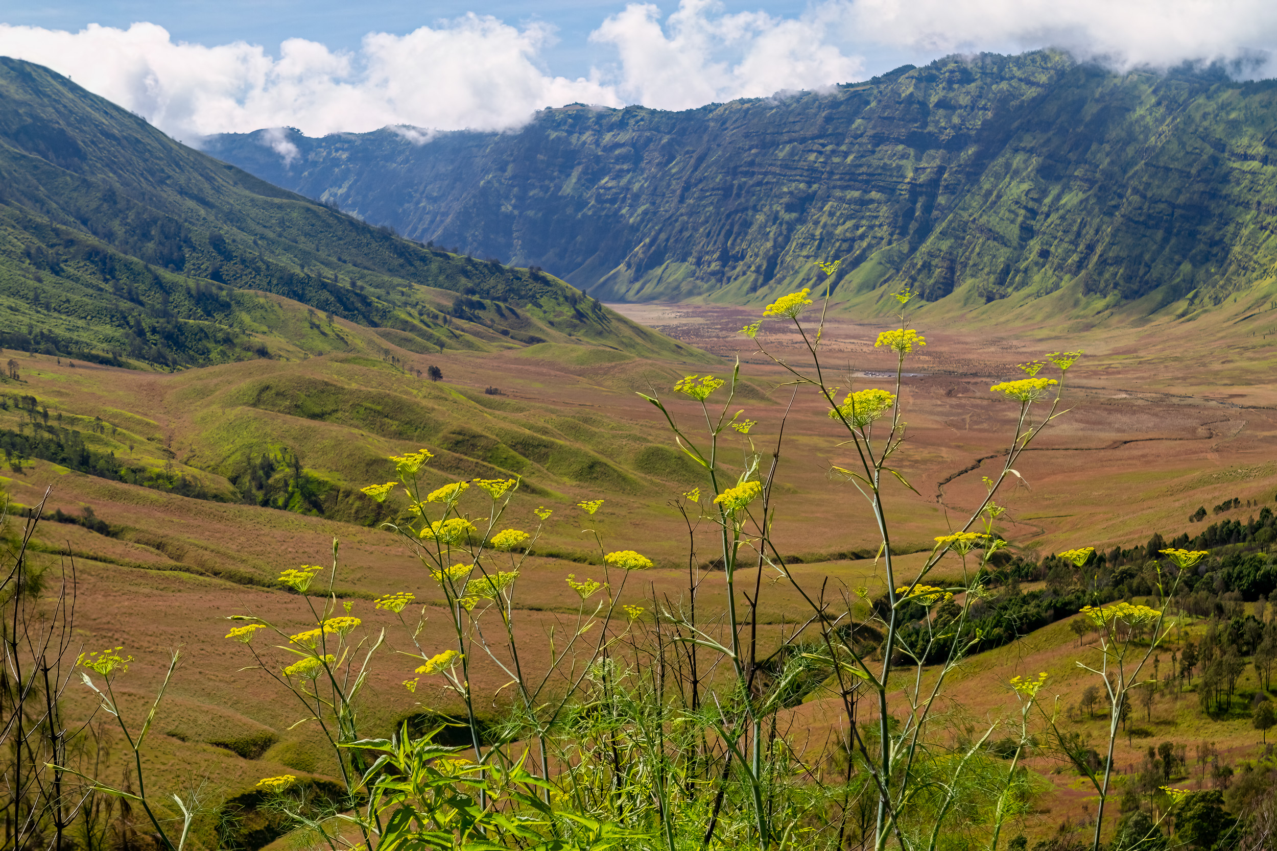 Bromo, Indonesia, Java