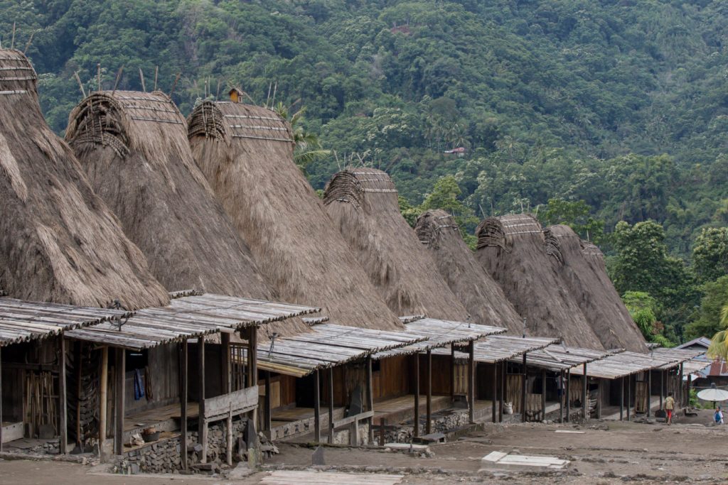 Gurusina, Indonesia, bajawa, flores