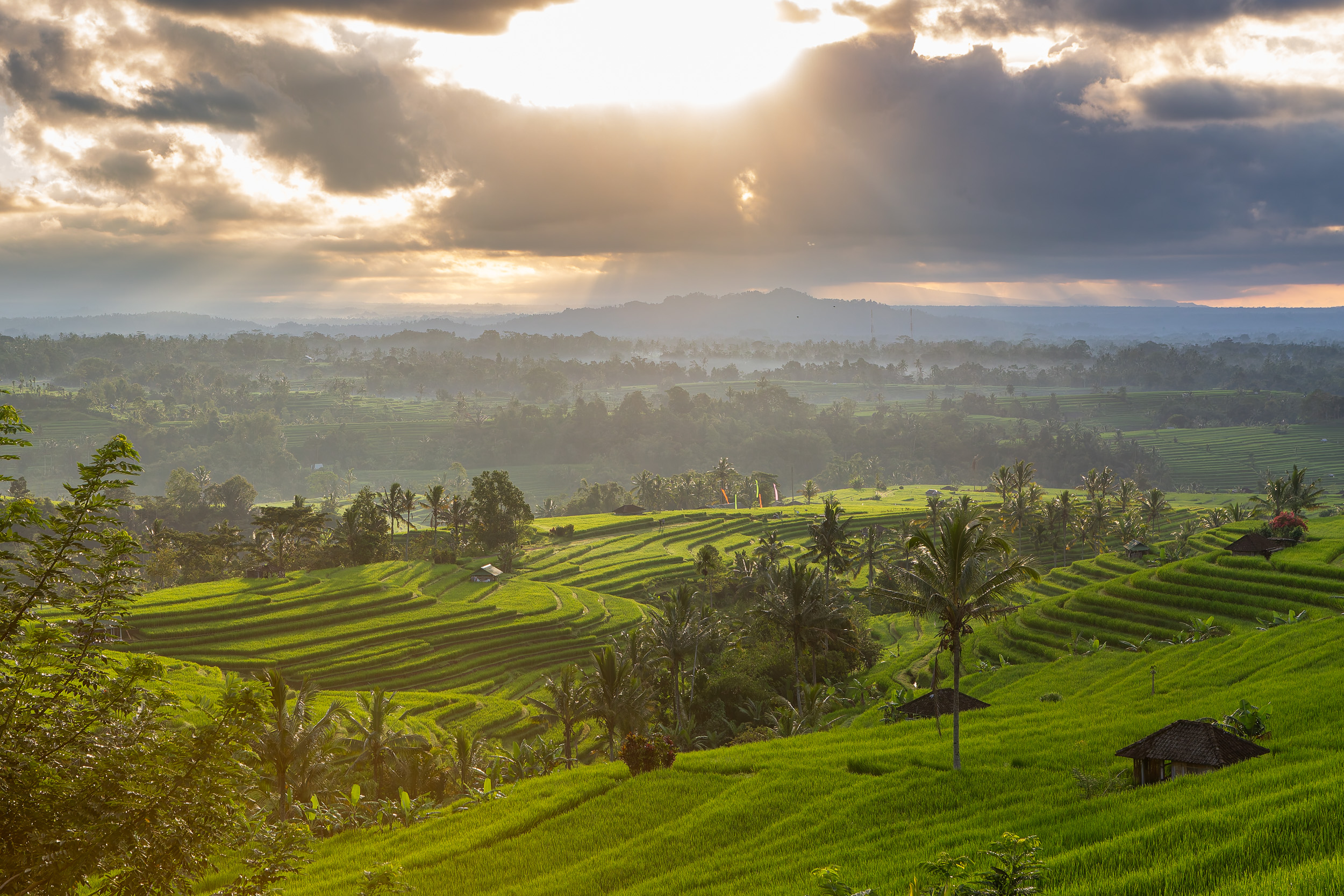 Jatiluwih terraces rice fields Bali Indonesia