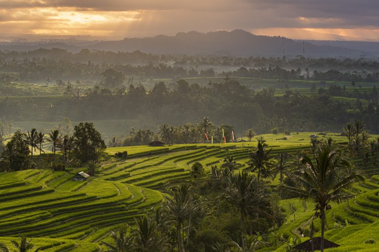 Jatiluwih terraces rice fields Bali Indonesia