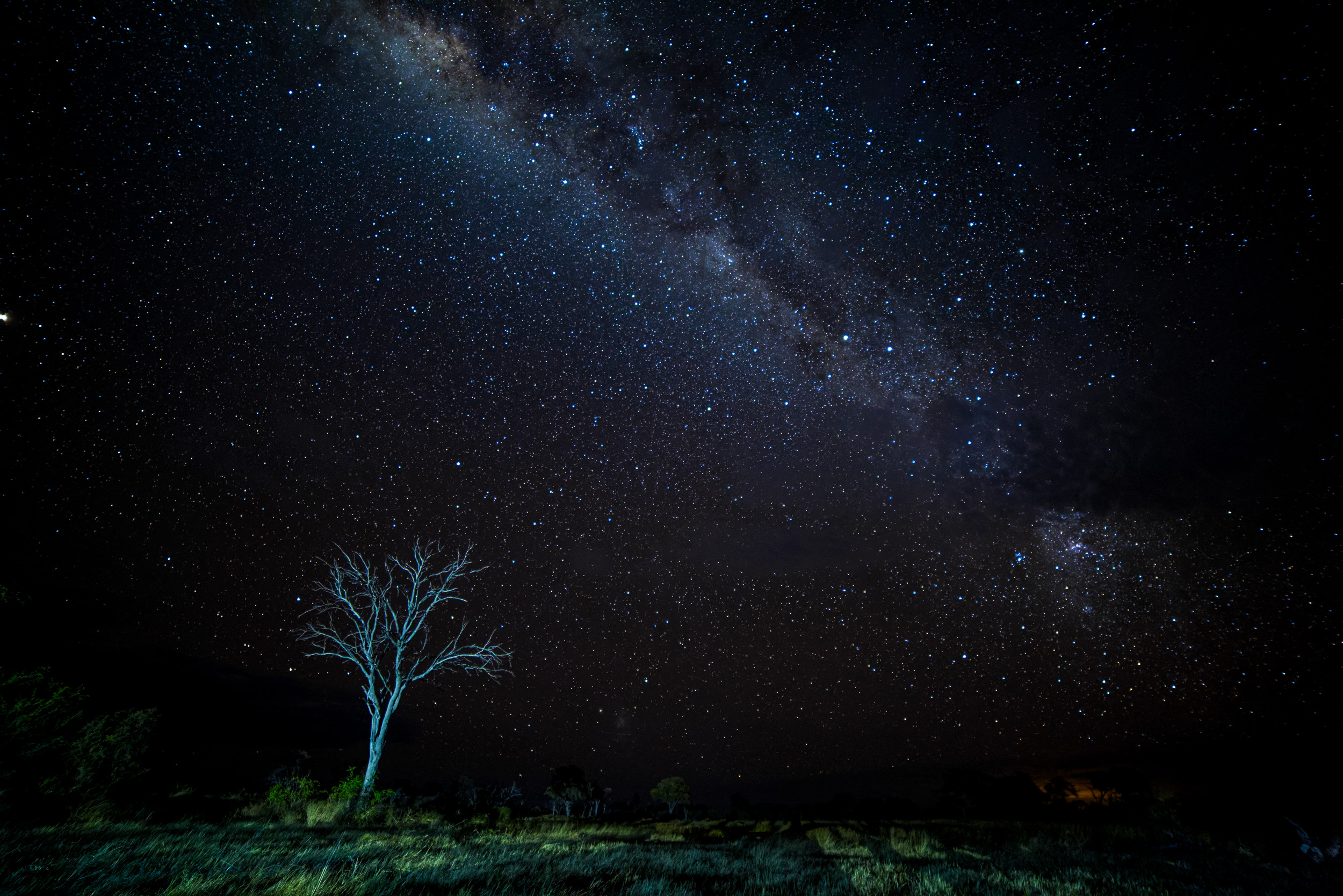 Africa, Khwai, botswana