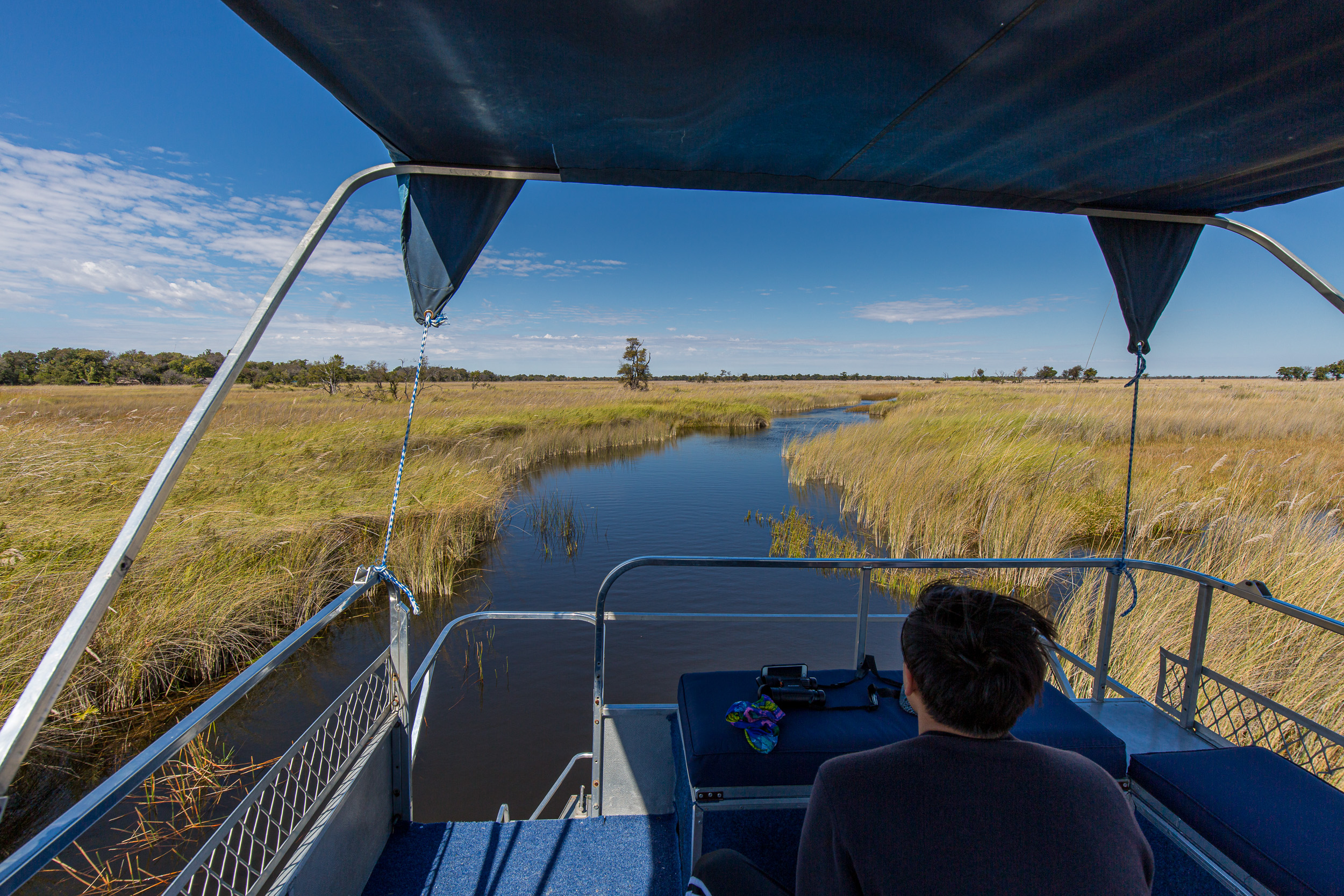 Africa, Moremi Game Reserve, Okavango, Stan/Dio, botswana