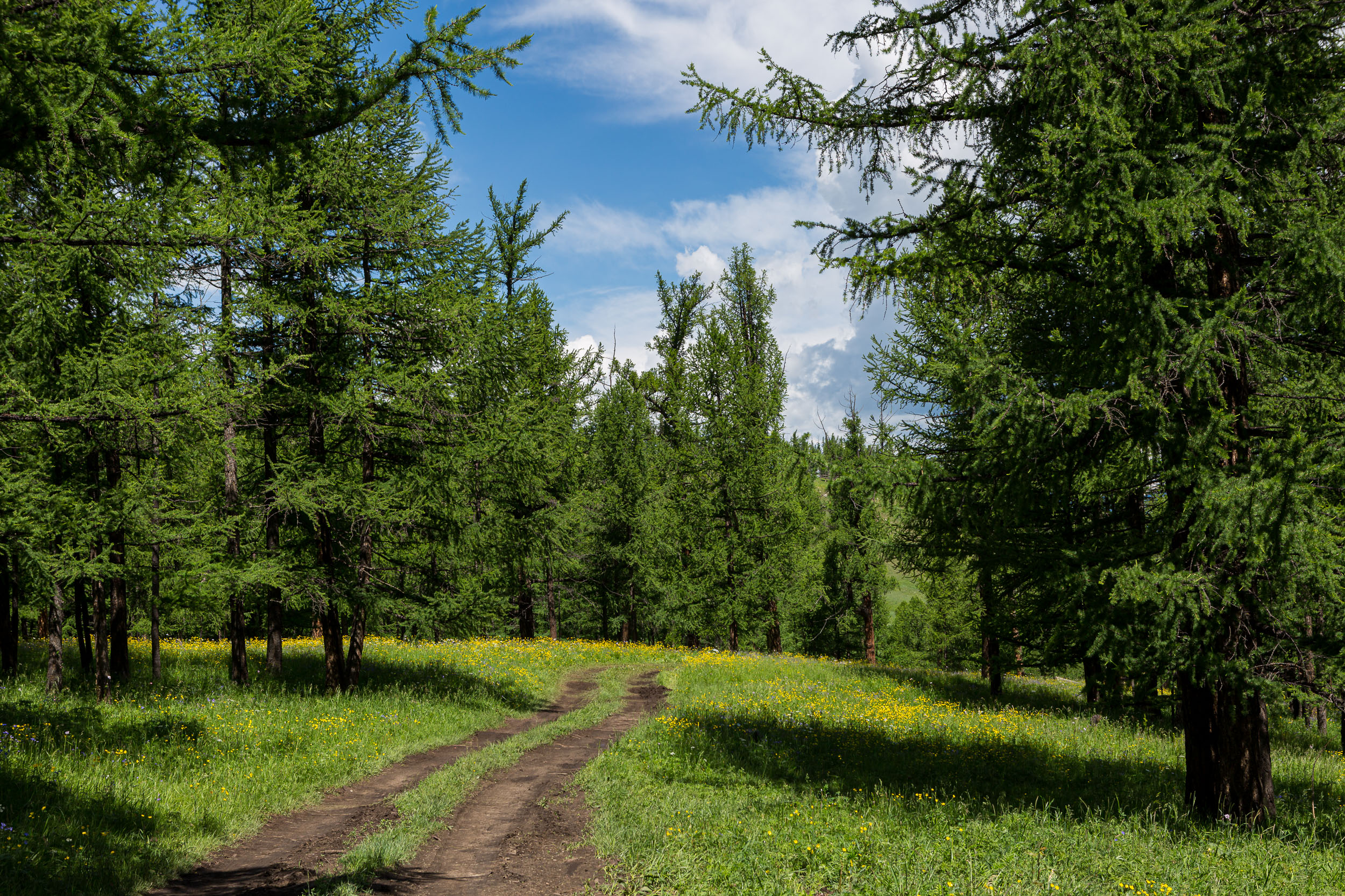 Highlights, Mongolia, Orkhon Valley