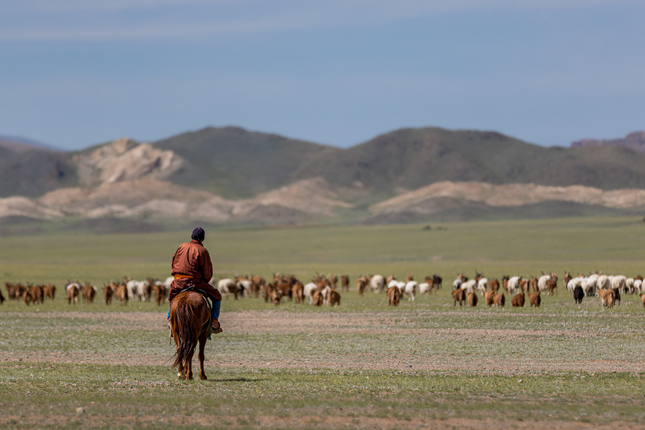 Highlights, Mongolia, lakes, road side