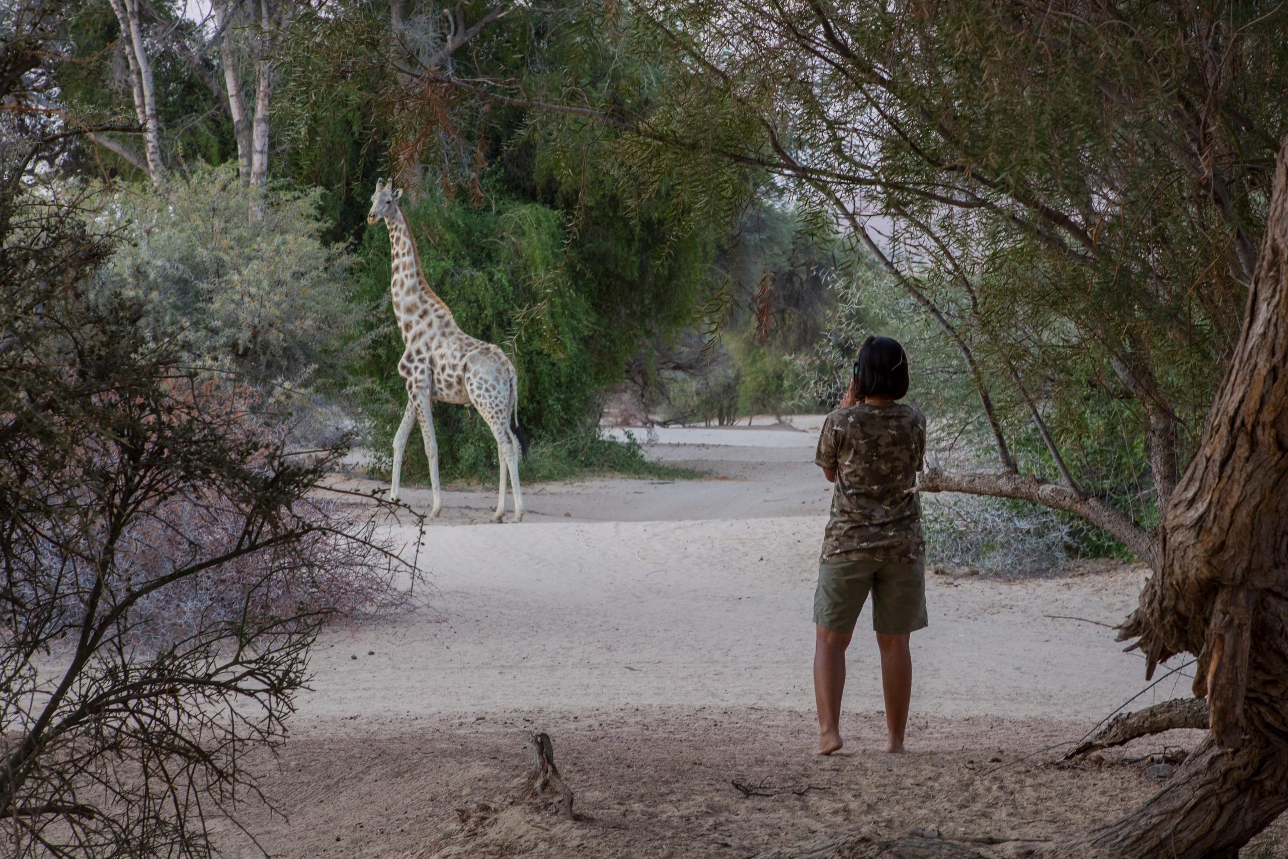 Camping in Puros, Kaokoland Namibia