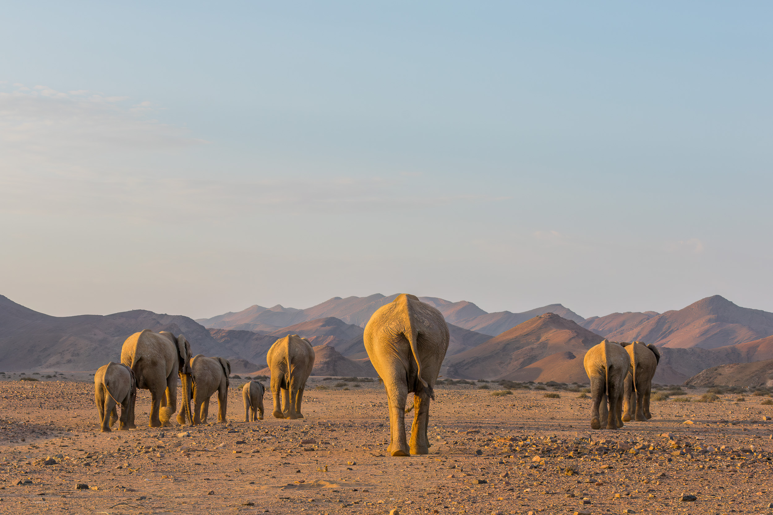 Hoanib, Mega, Namibia