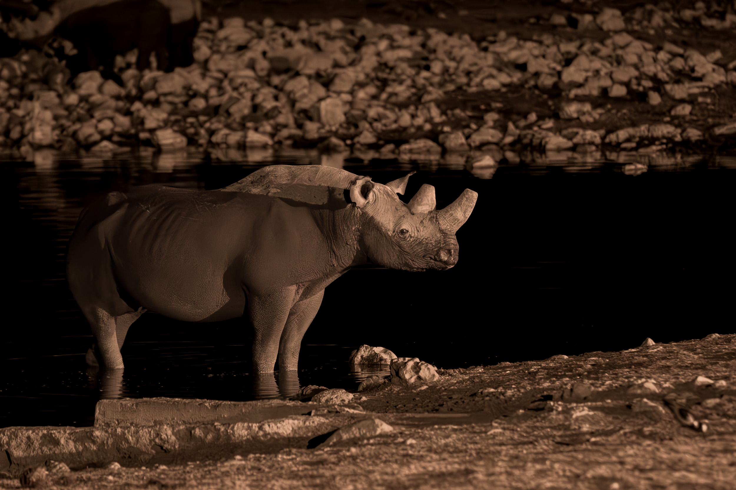 Etosha, Mega, Namibia