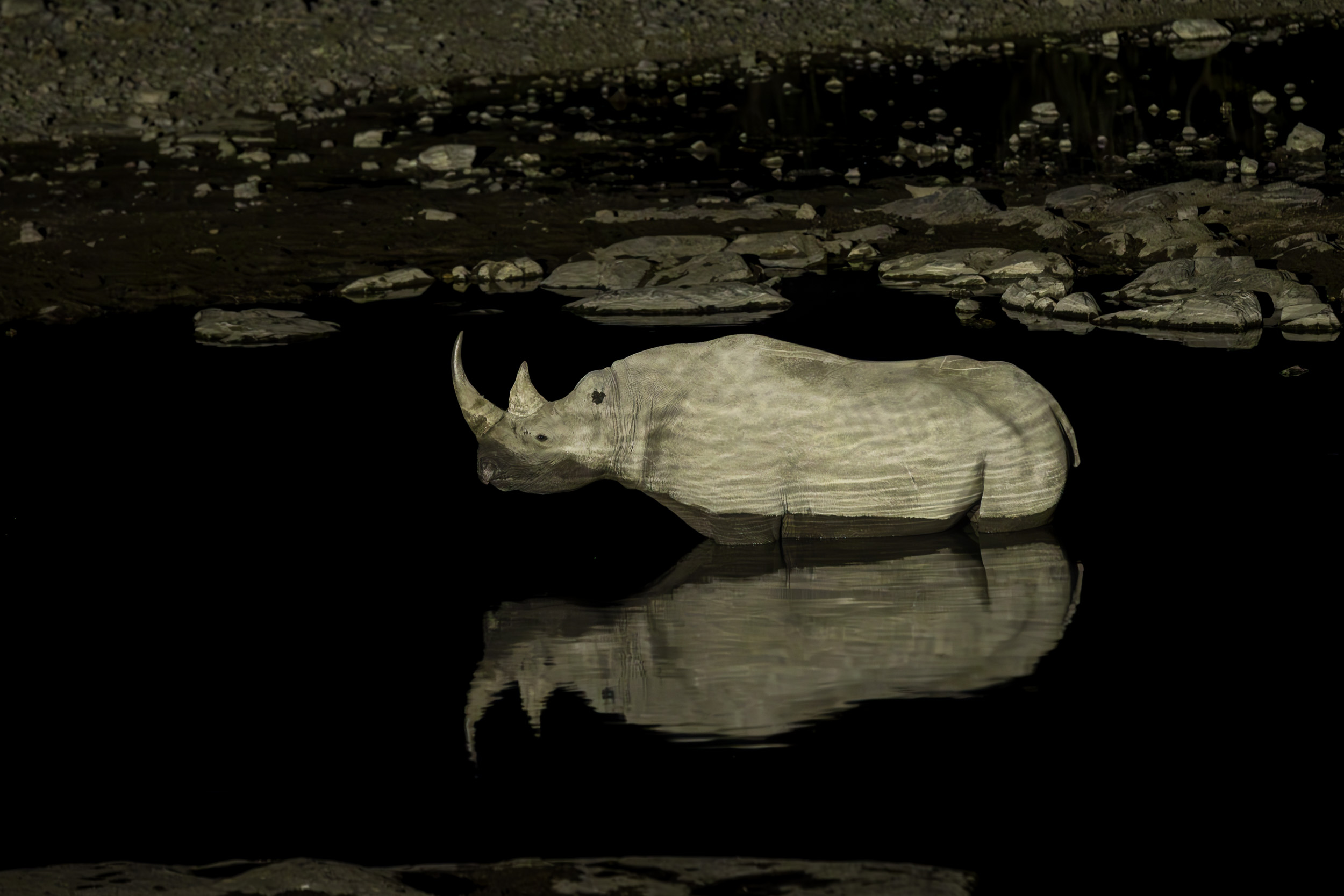 Etosha, Mega, Namibia