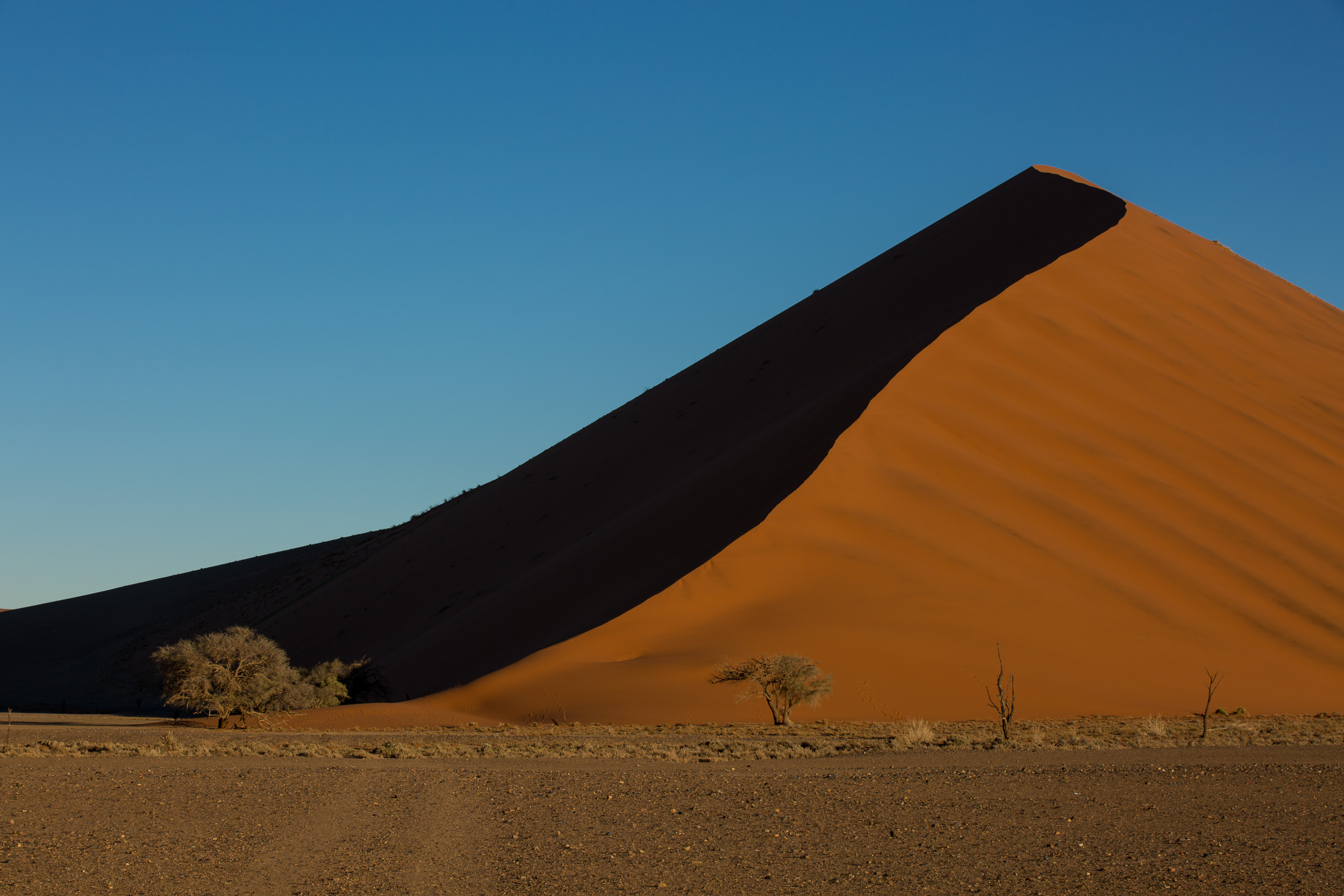 Africa, Namibia, Sossusvlei
