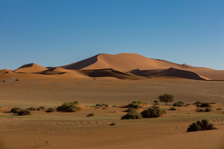 Sossusvlei & the Namib Desert