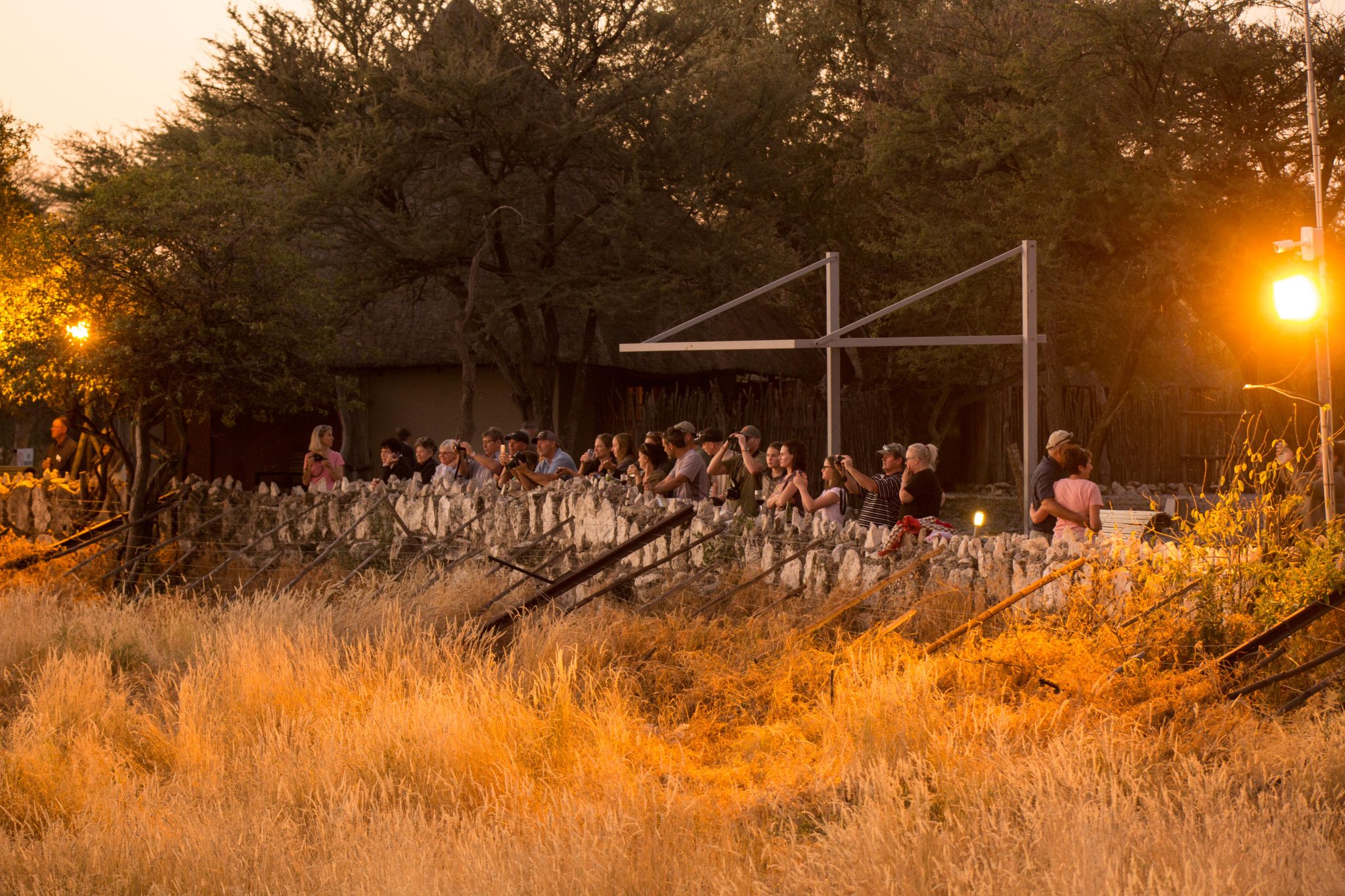 Visitors at Etosha's Okaukuejo waterhole at sunset time
