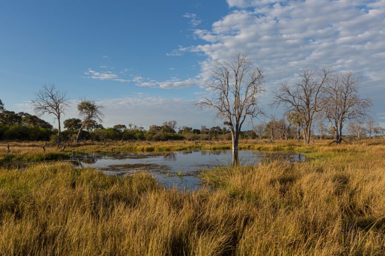 Africa, Khwai, botswana