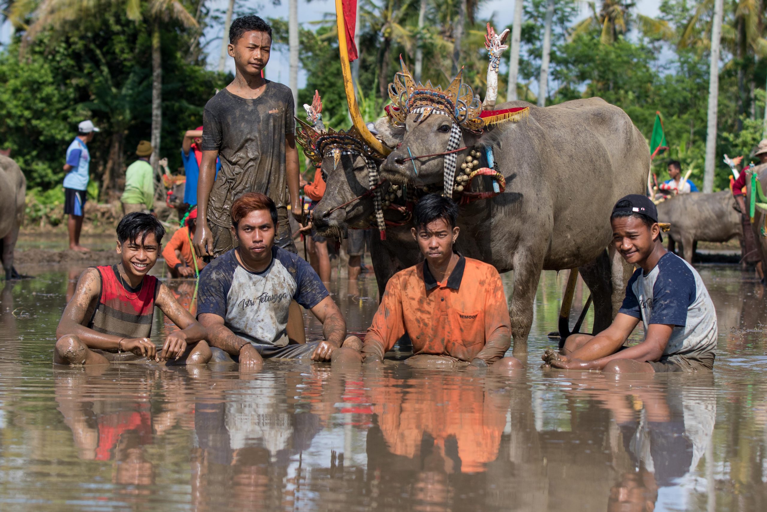 Bali, Culture, Indonesia, Makepung, Negara, lampit