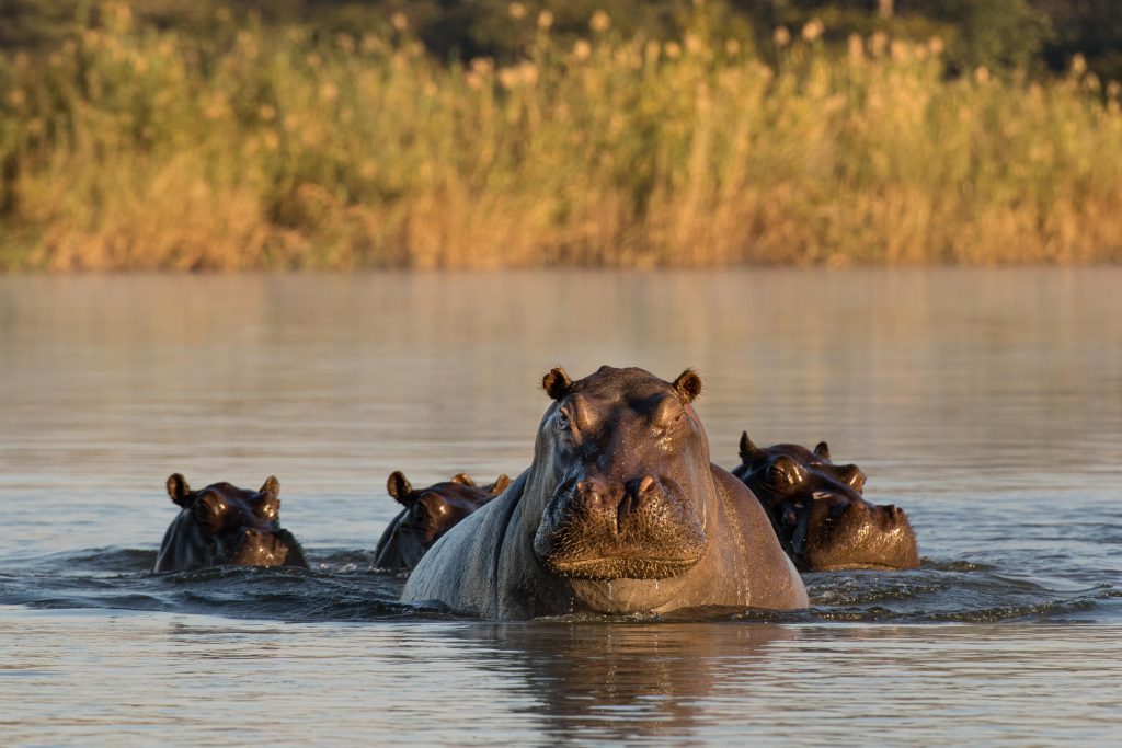 Kavango,Caprivi