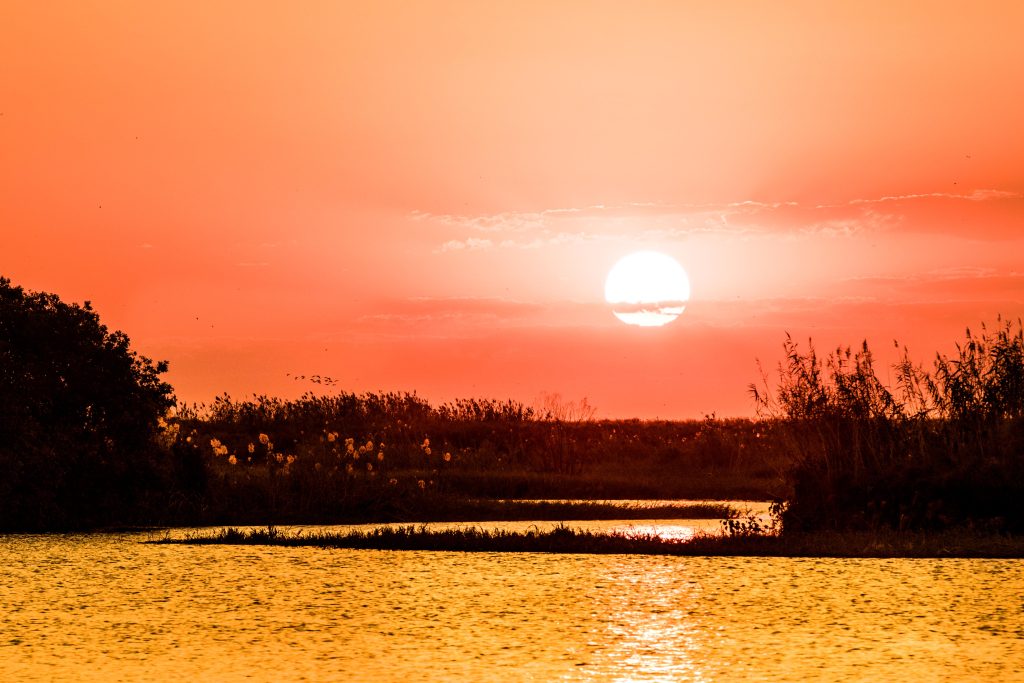 Africa, Chobe National Park, botswana