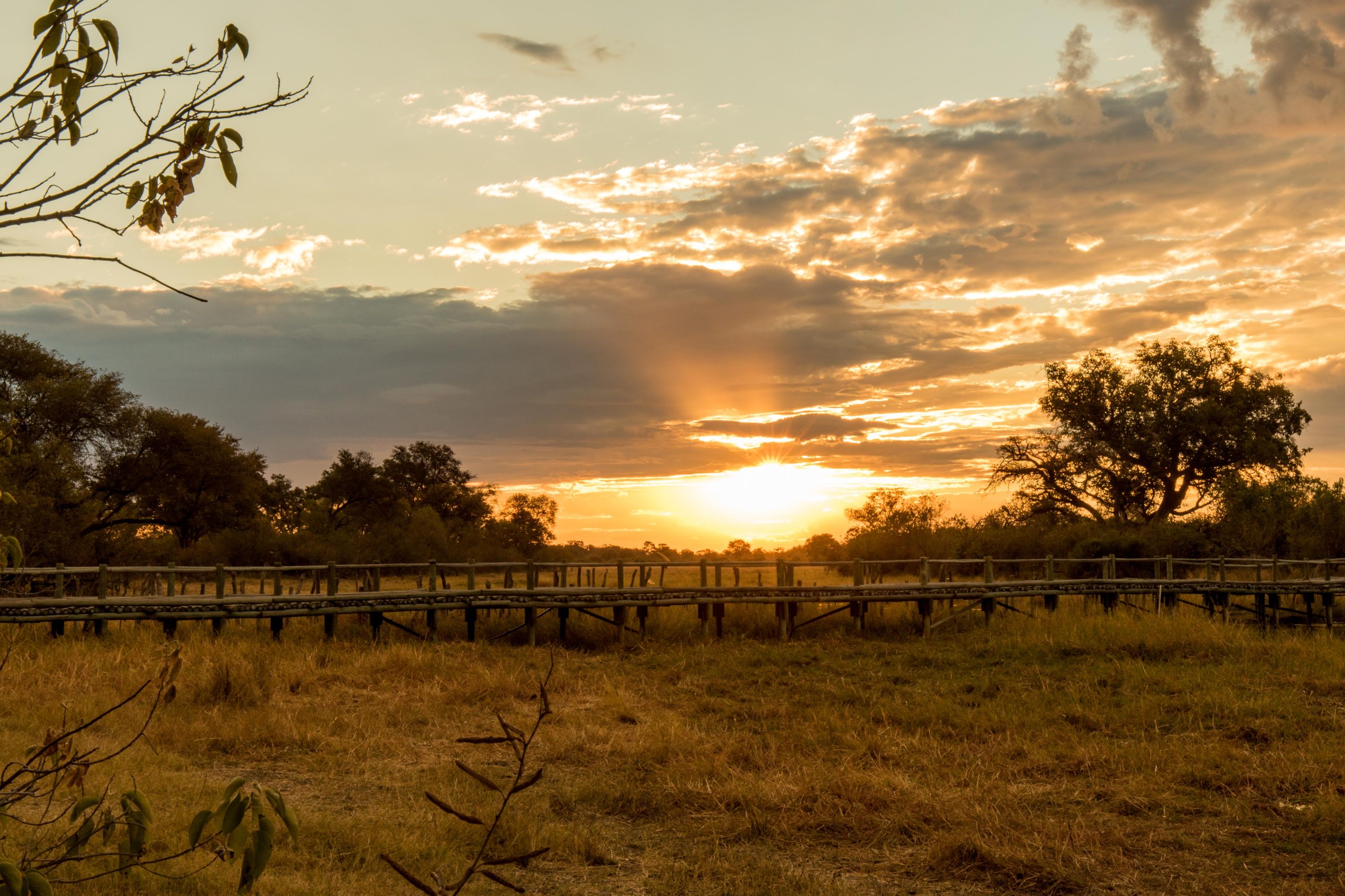 Africa, Moremi Game Reserve, North Bridge Camp, botswana