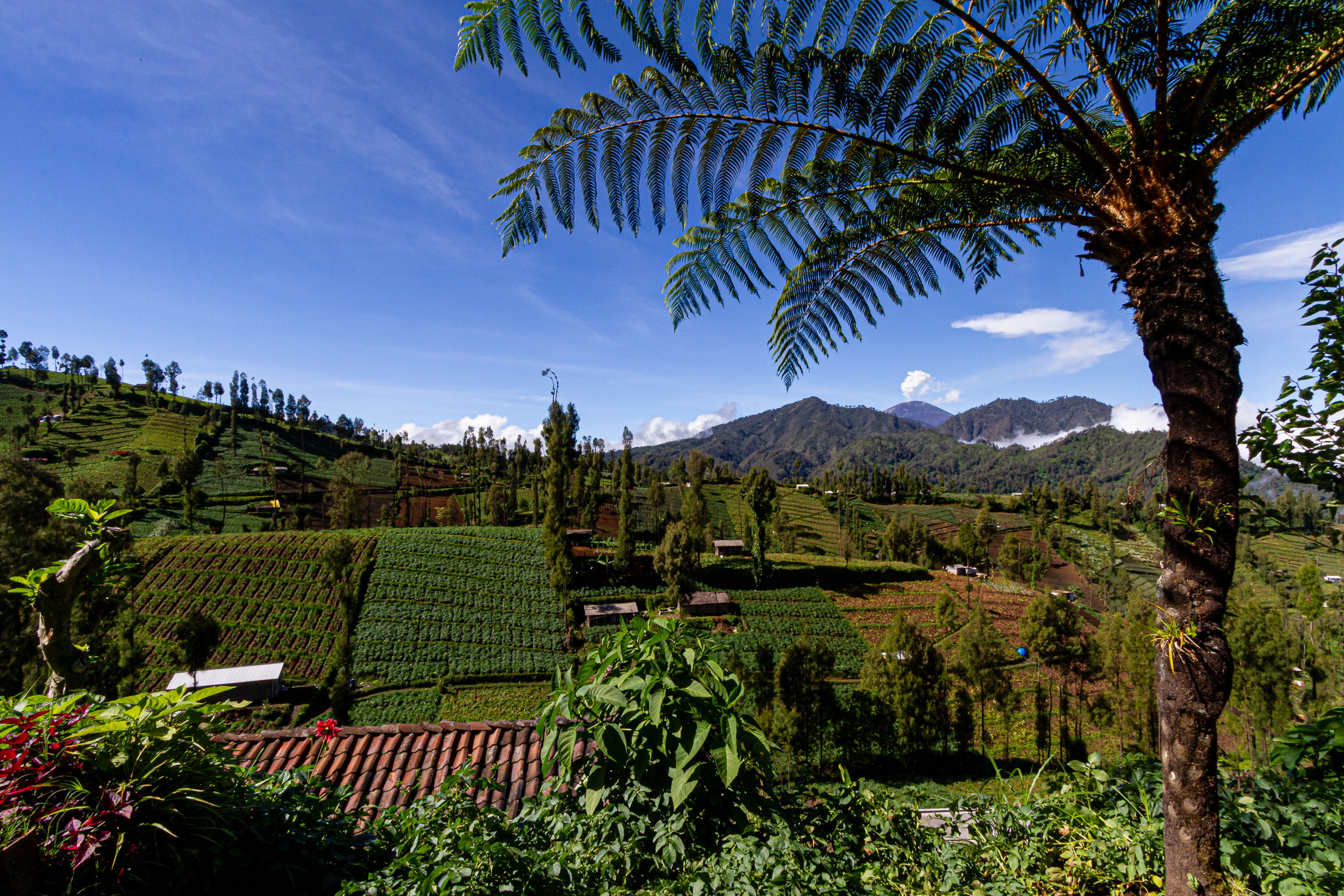 Bromo, Indonesia, Java