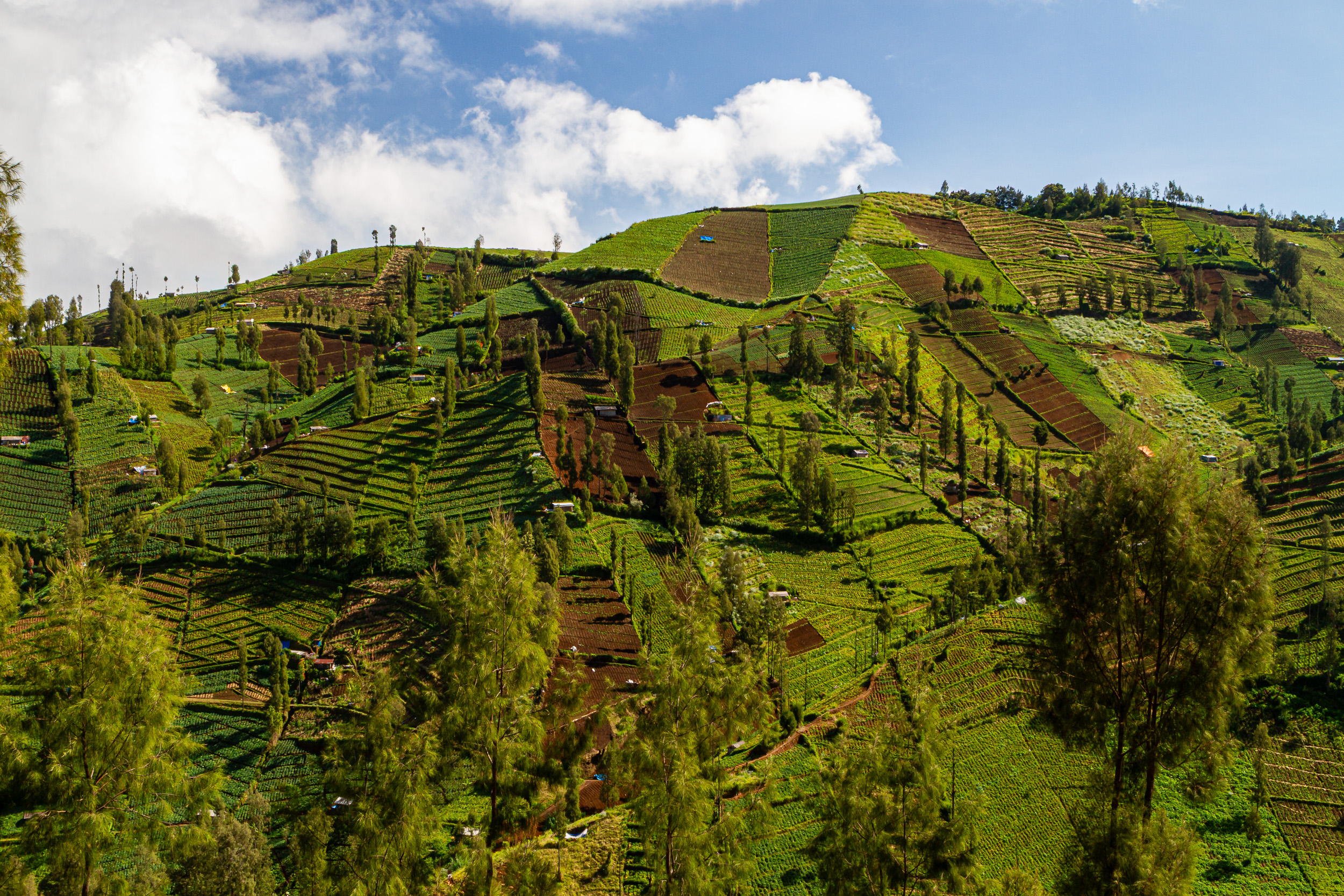 Bromo, Indonesia, Java