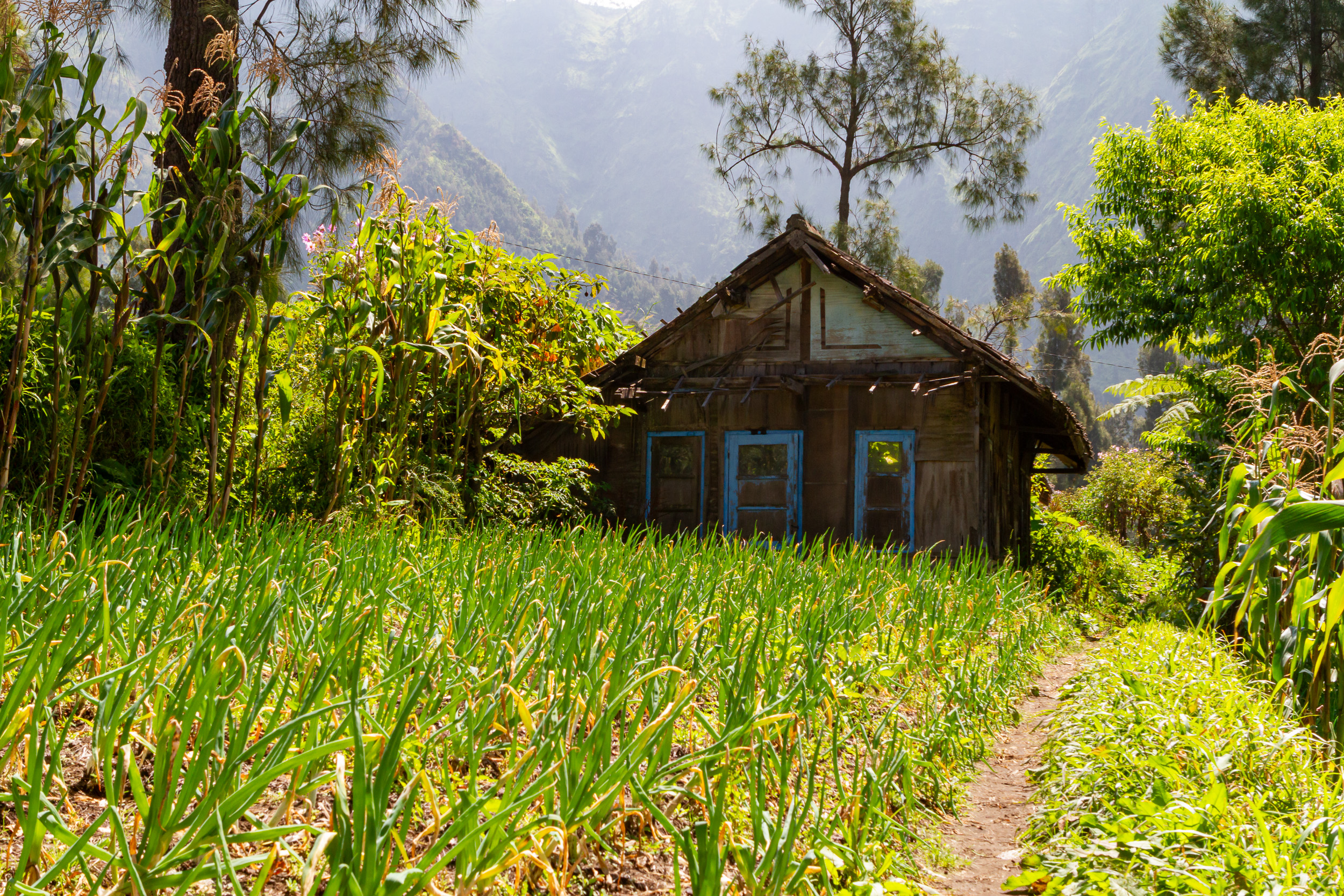 Bromo, Indonesia, Java