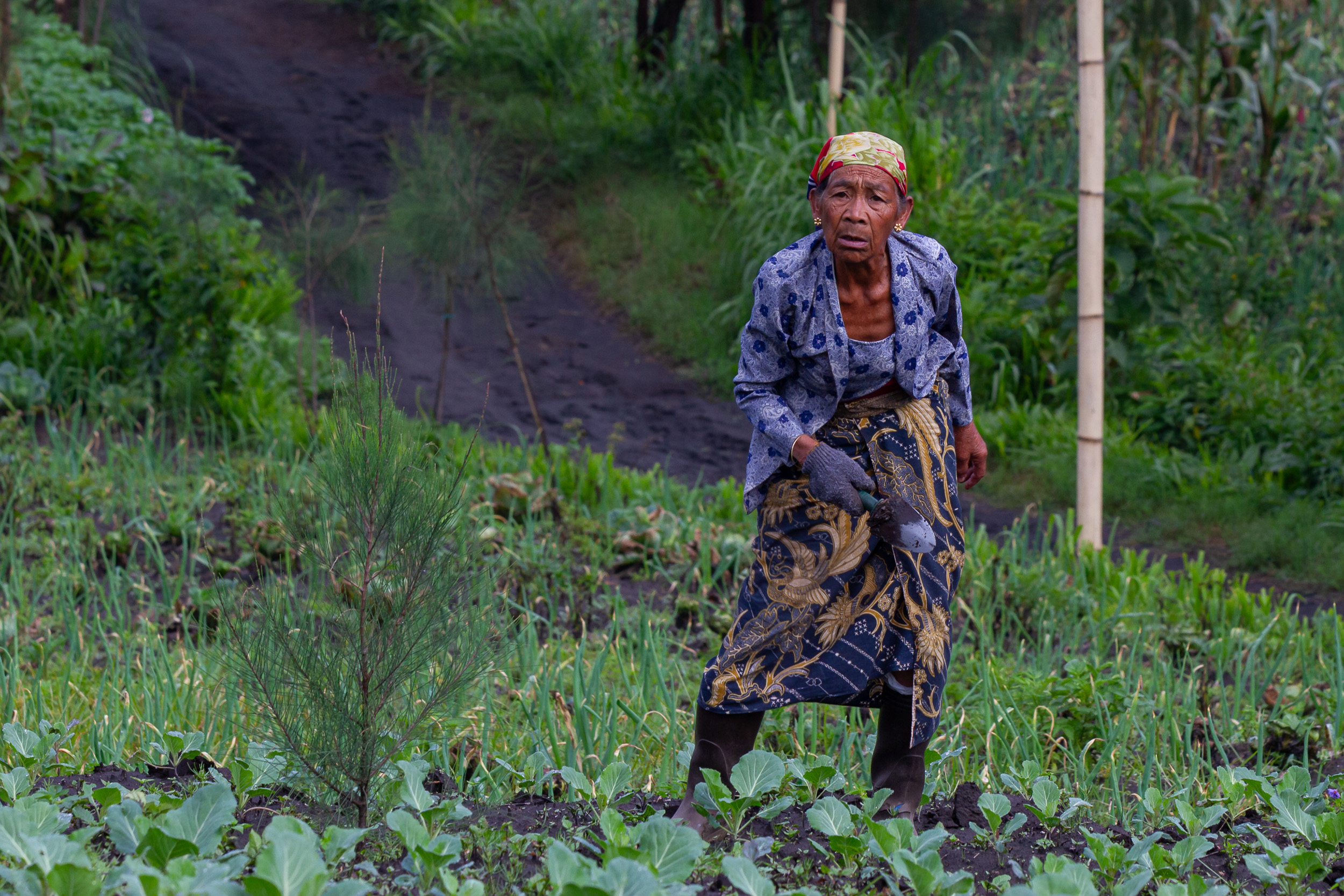 Bromo, Gunung Bromo, Indonesia, Java, No Adjustments Made