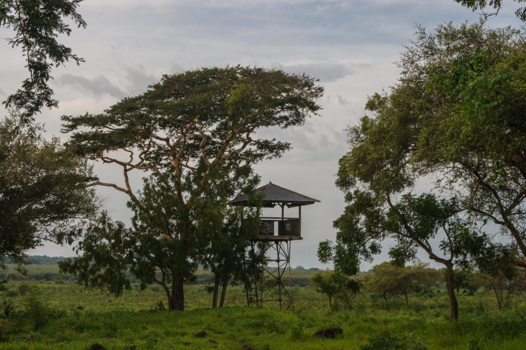 Baluran National Park, Indonesia, Java