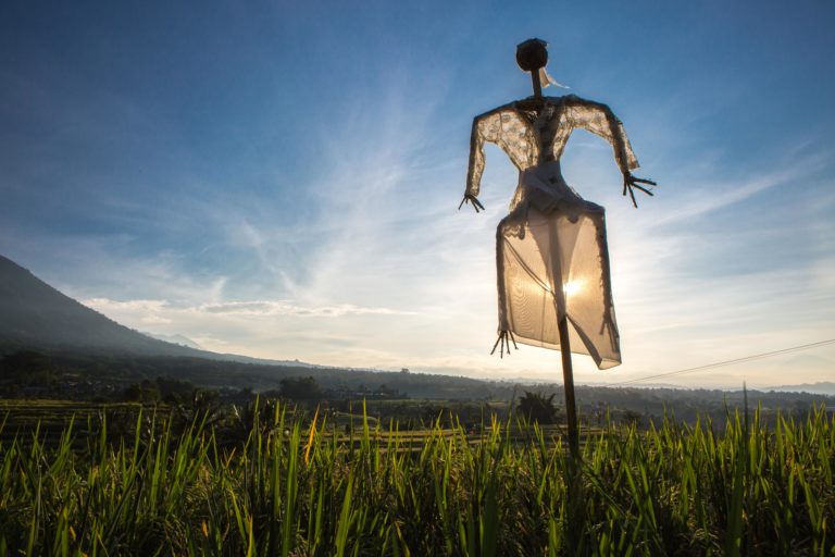 Jatiluwih scarecrows – Bali