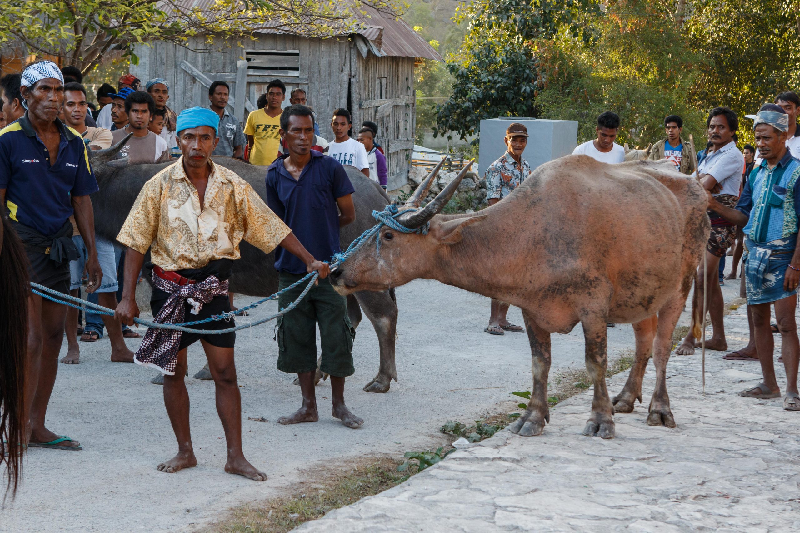 Melolo, East Sumba