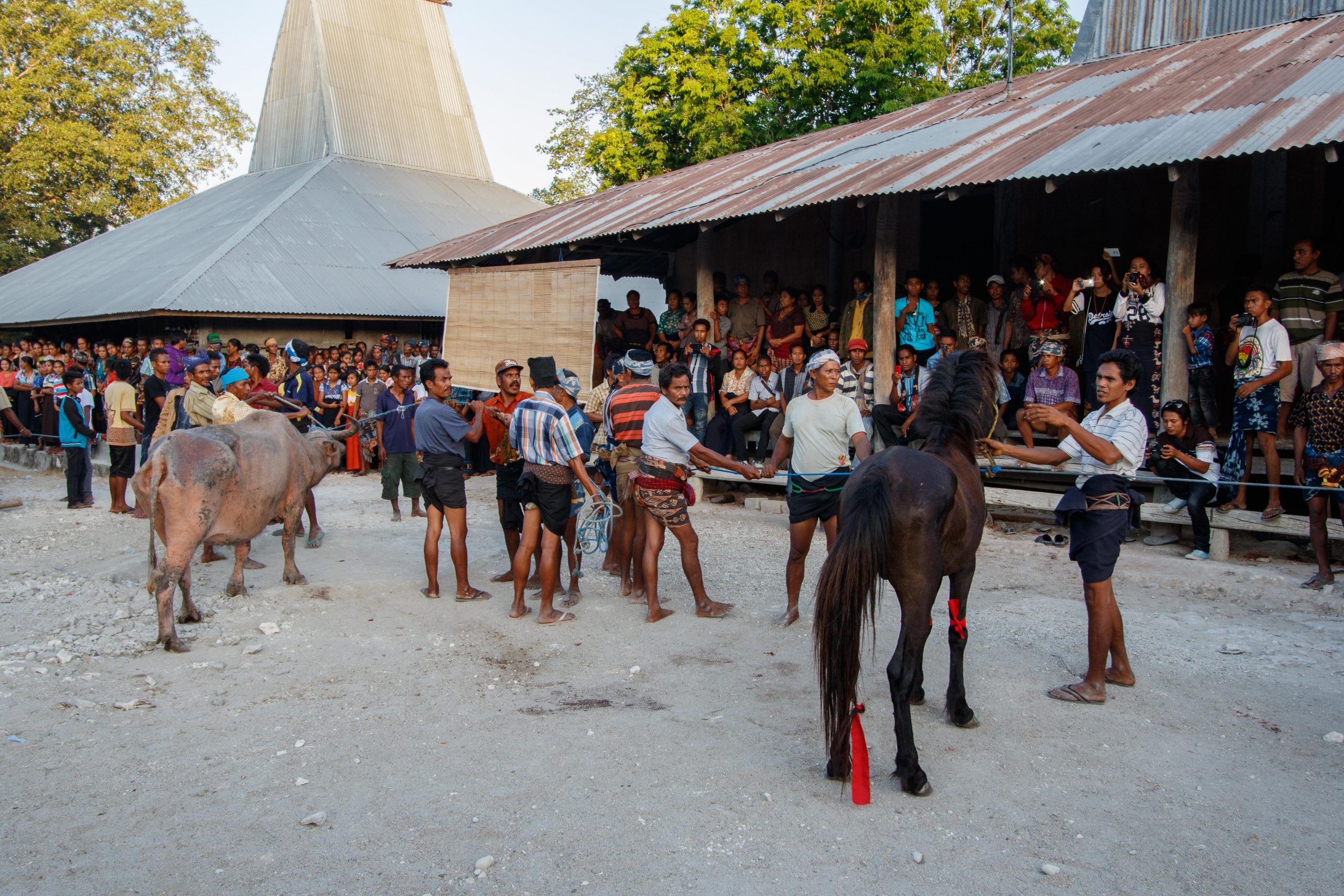 Melolo, East Sumba