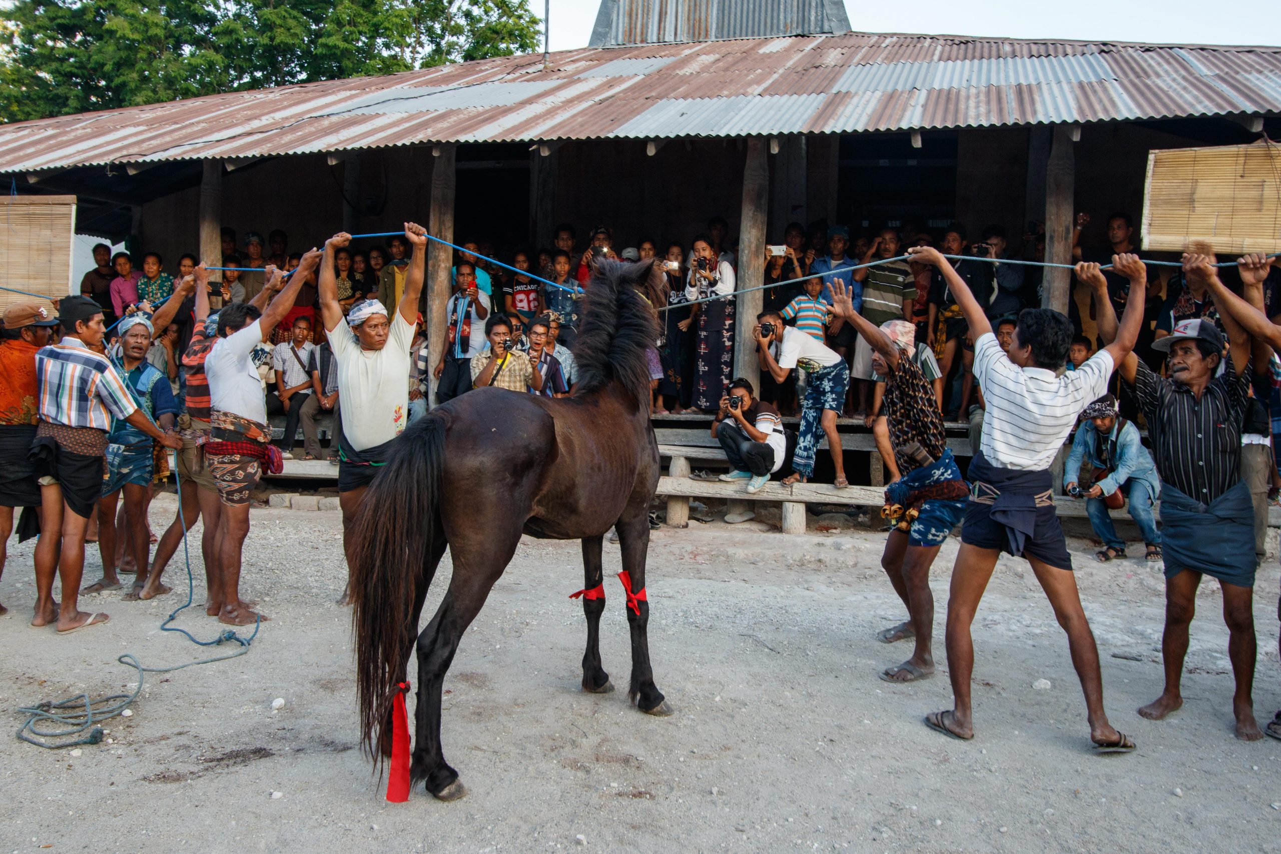 Melolo, East Sumba