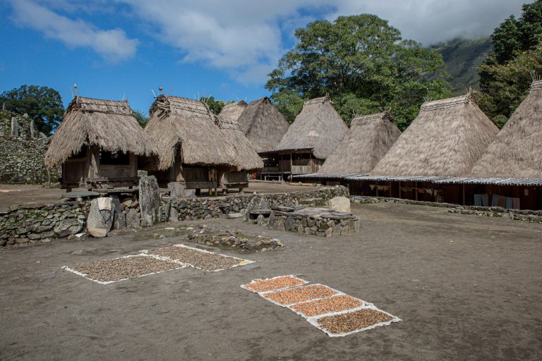 Bena, Indonesia, bajawa, flores