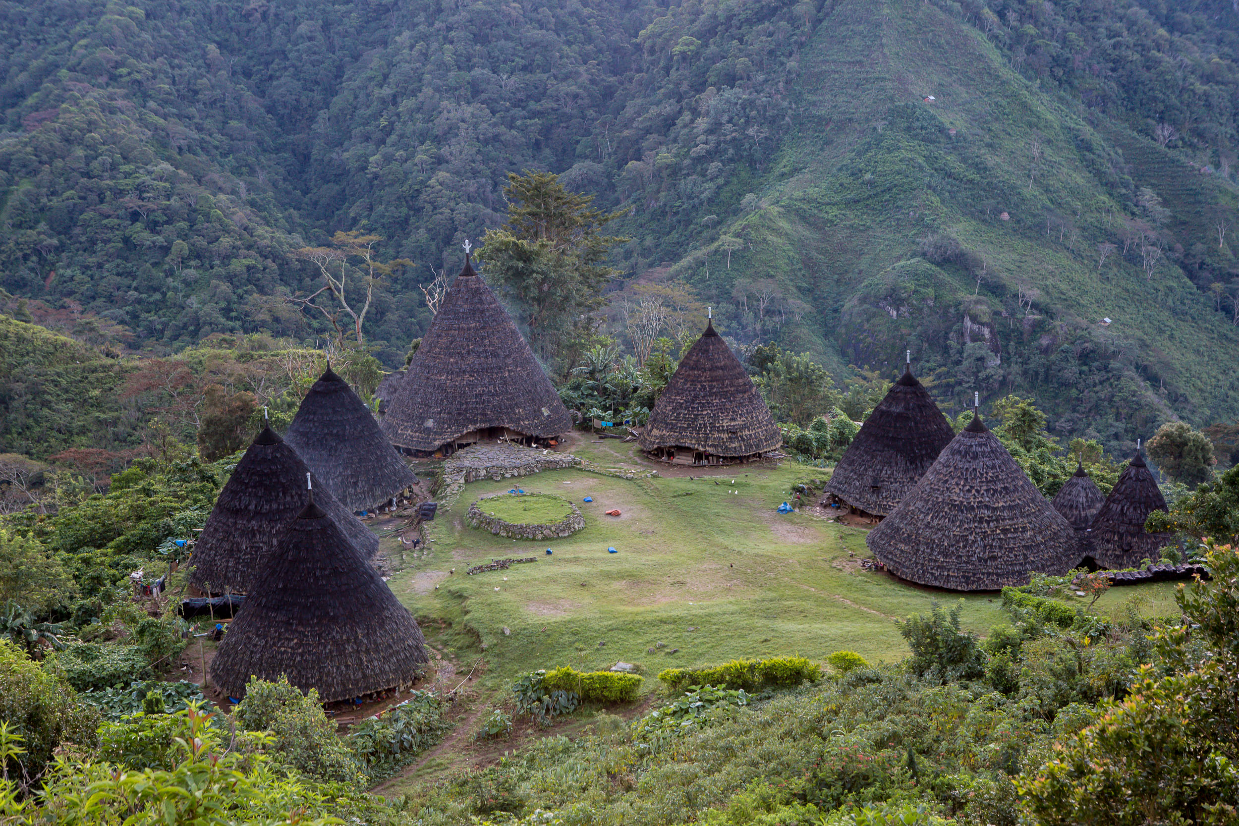 Wae Rebo village Mbaru Niang houses Flores Manggarai Highlands Indonesia