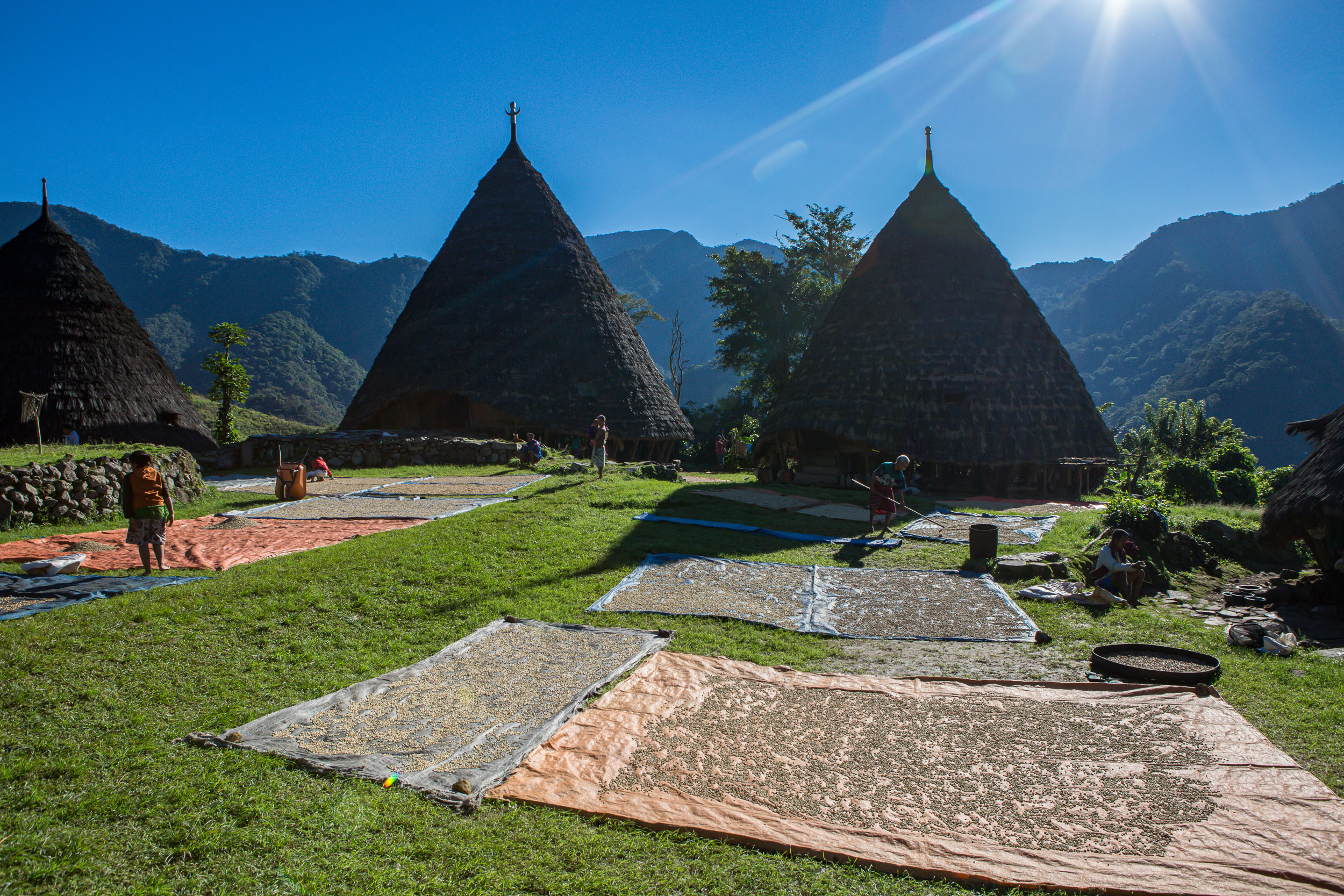 coffee drying Wae Rebo village Flores Indonesia