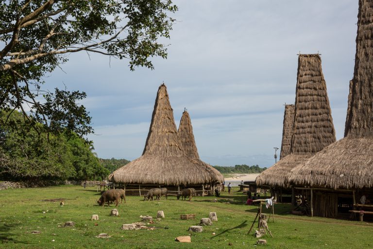 Wainyapu village west sumba indonesia