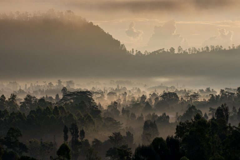 Pinggan – Batur, Bali