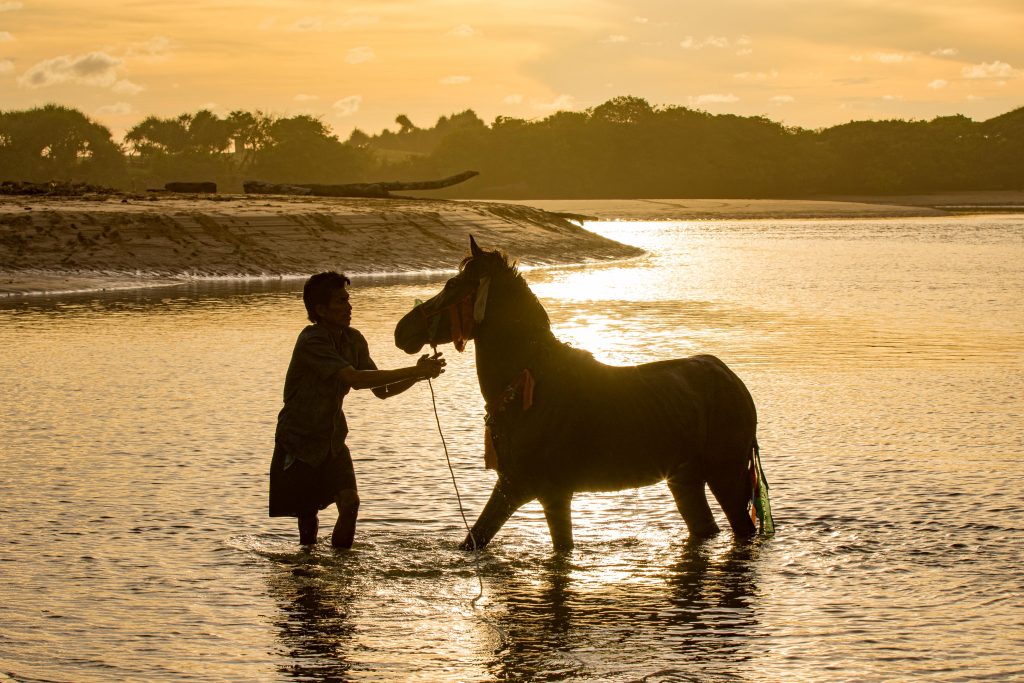 Pasola, Sumba