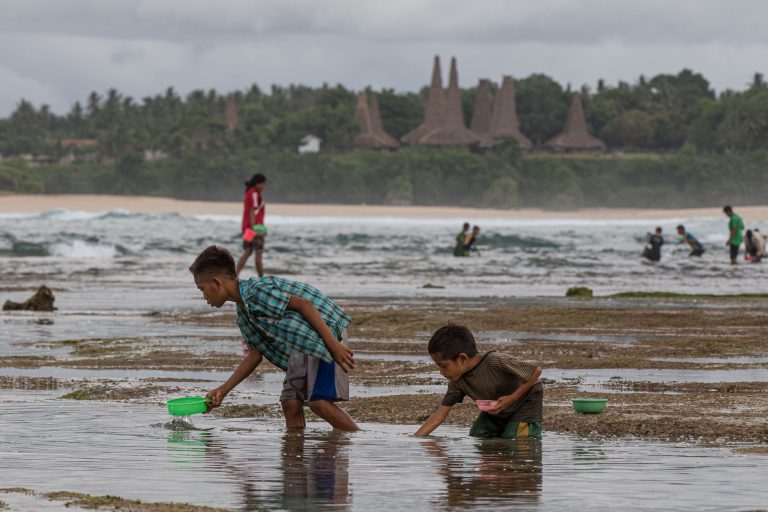 Culture, Indonesia, Pasola, Sumba, Wainyapu, ceremony, nyale