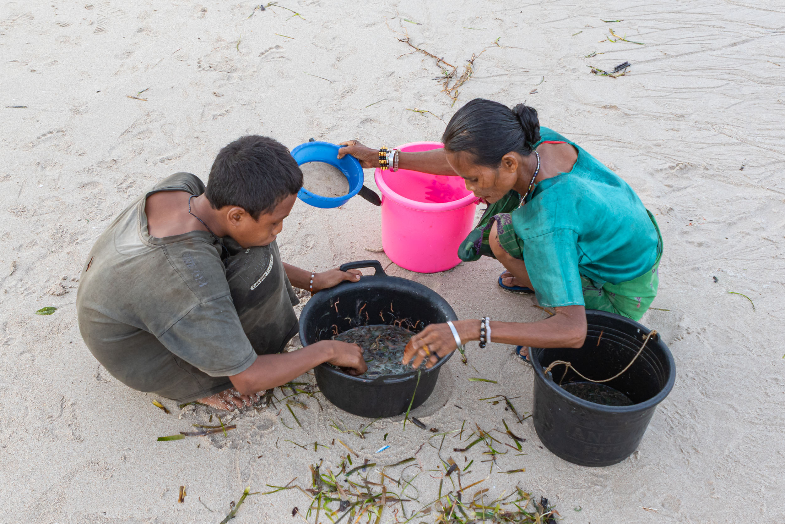 Culture, Indonesia, Pasola, Sumba, Wainyapu, ceremony, nyale