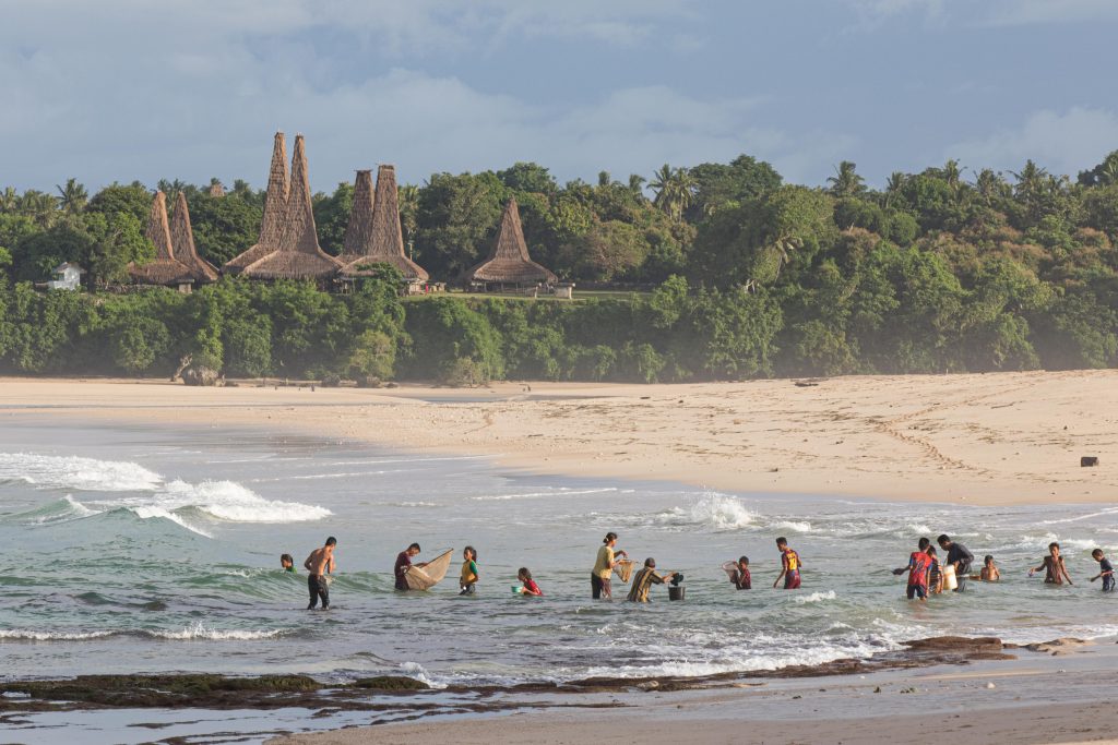 Nyale, Sumba