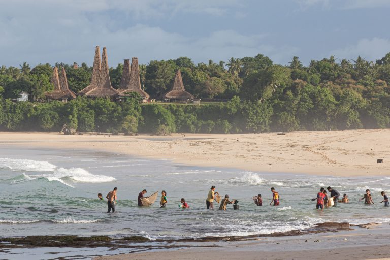 Culture, Indonesia, Pasola, Sumba, Wainyapu, ceremony, nyale