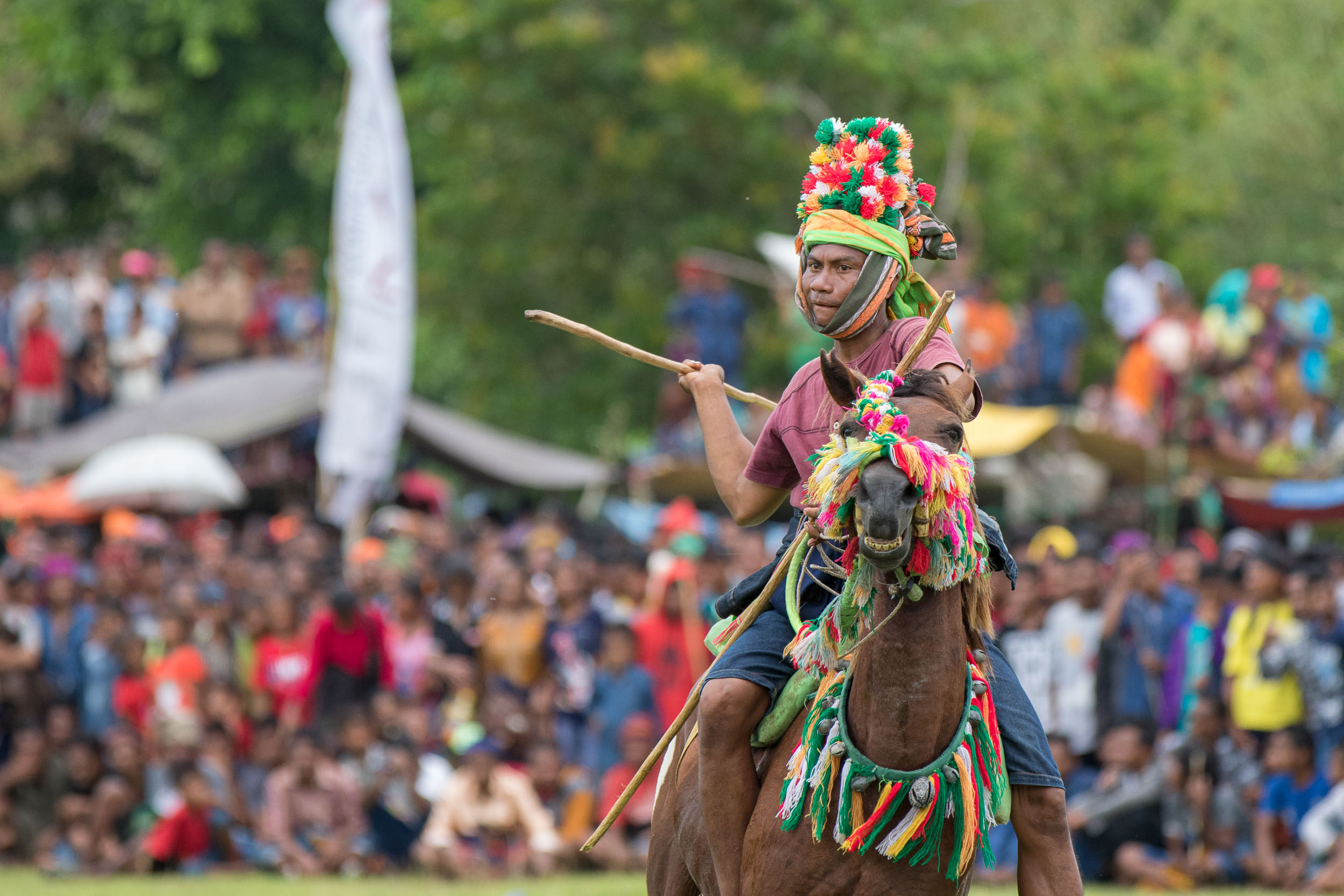Pasola riders throwing wooden spears at opposing teams during the traditional ceremony.