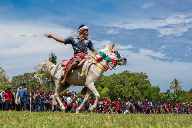 Thousands of spectators gathering around the Pasola field as riders charge across the savannah.
