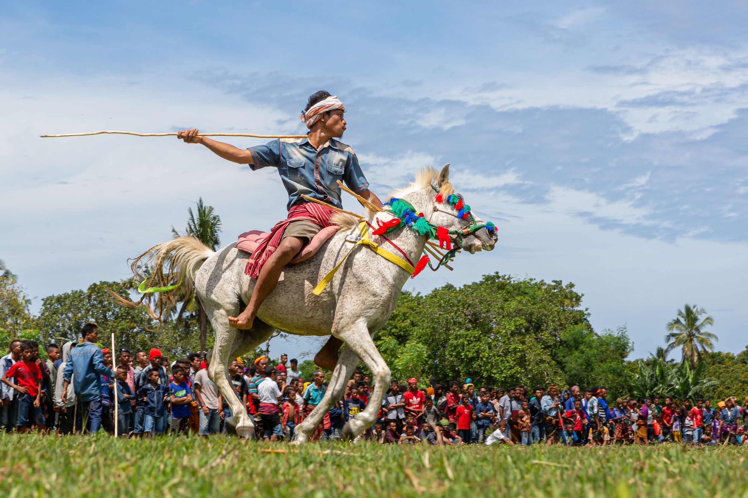 Culture, Indonesia, Pasola, Sumba, ceremony