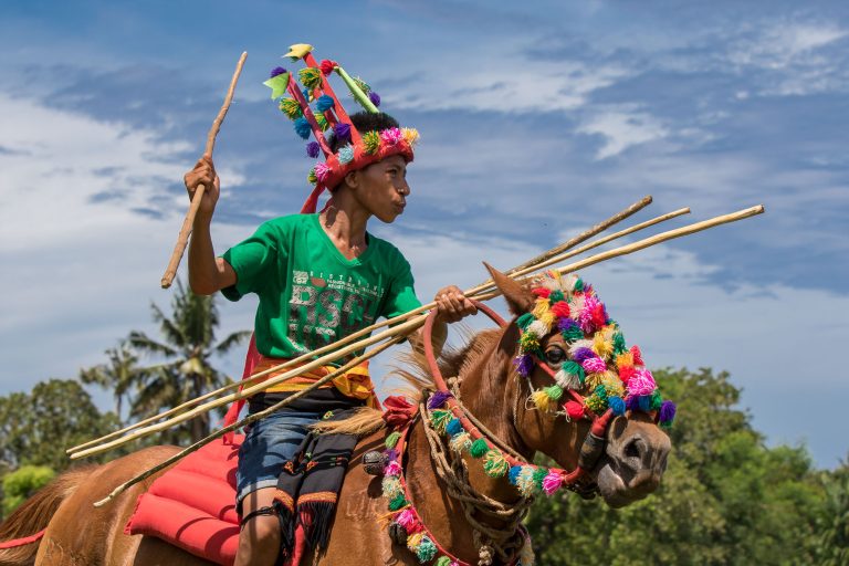 Culture, Indonesia, Pasola, Sumba, ceremony