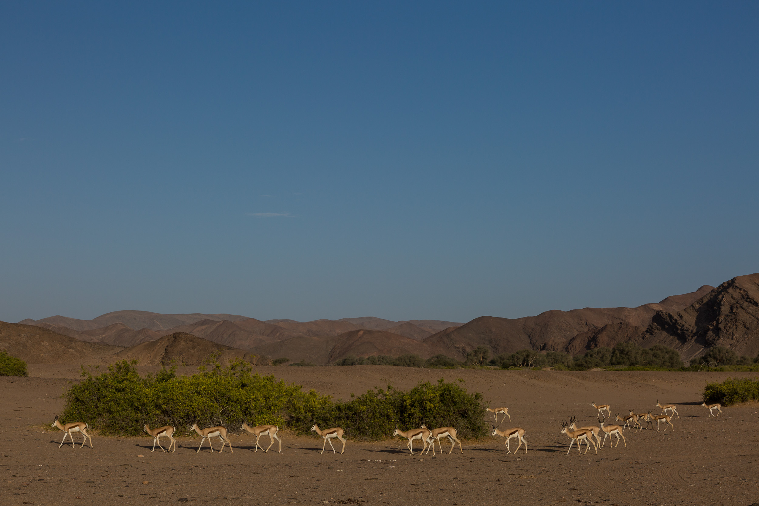 Hoanib, Mega, Namibia