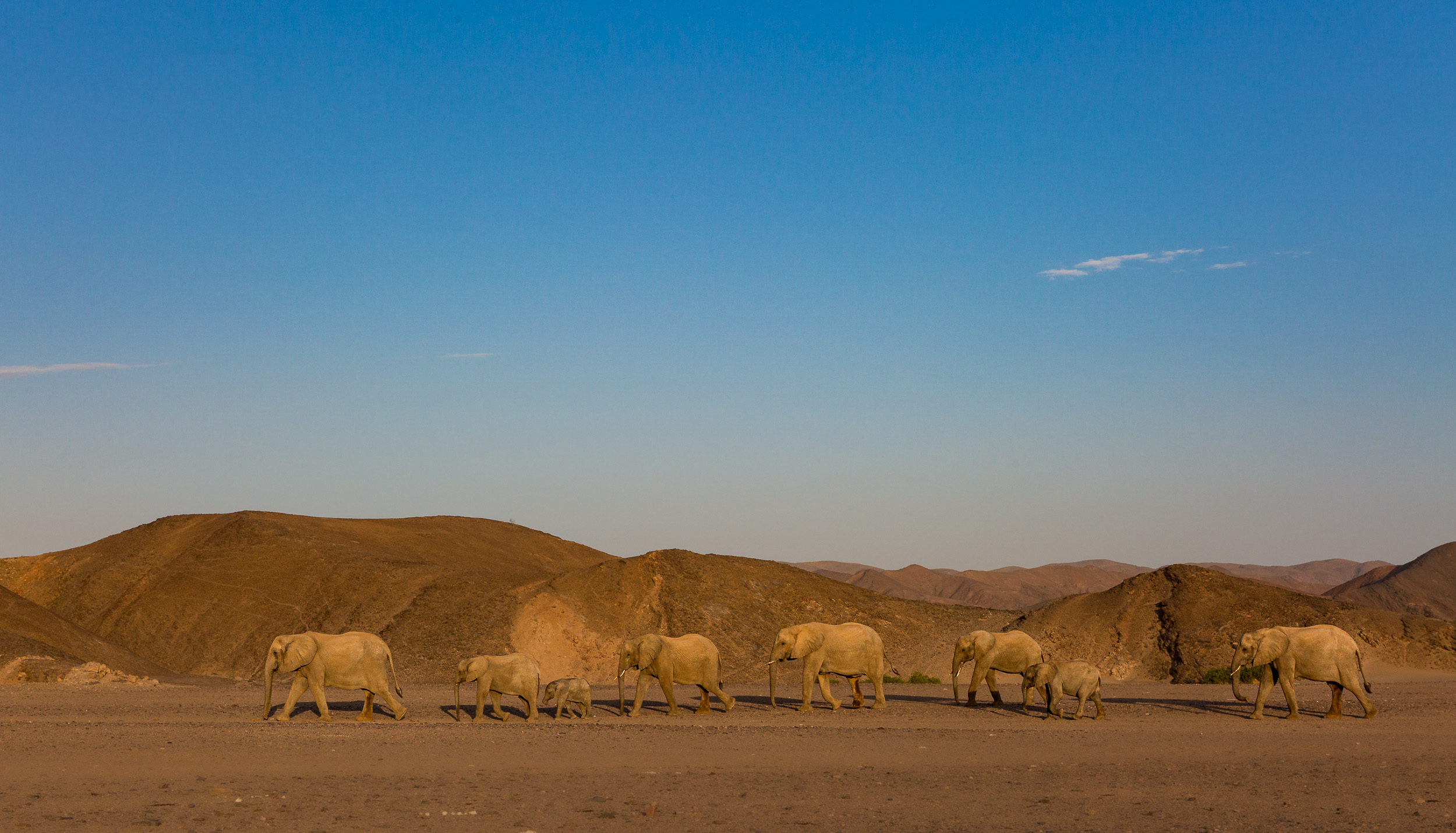 Hoanib, Mega, Namibia