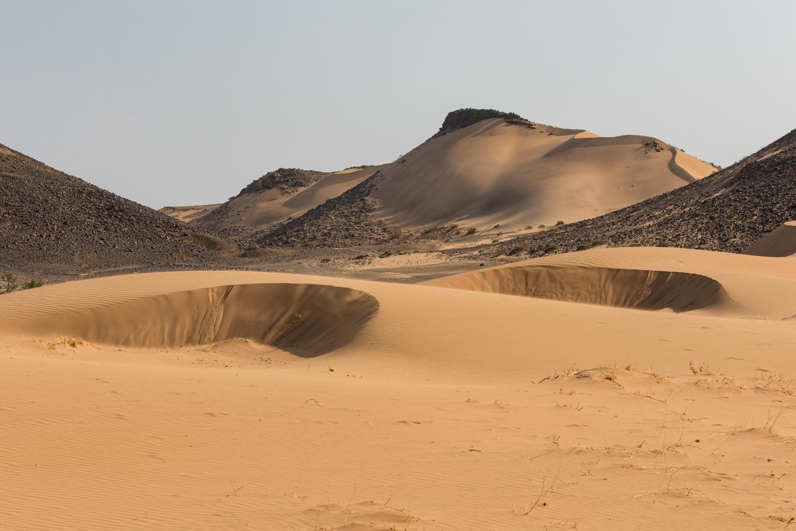 Desert landscape and dry riverbed in Damaraland Namibia