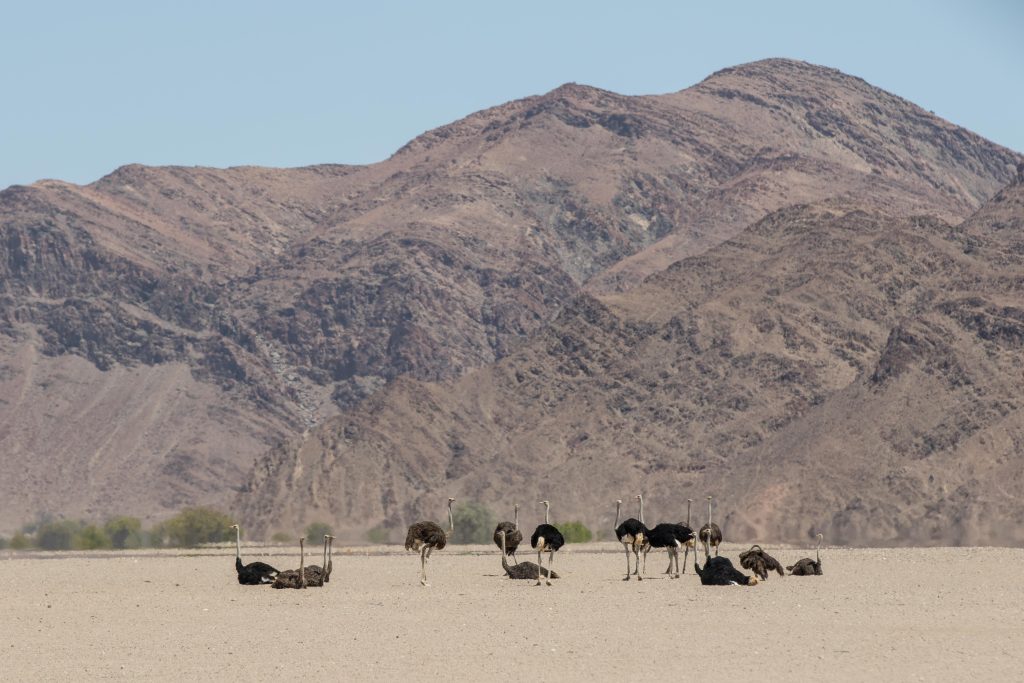 Hoanib, Mega, Namibia